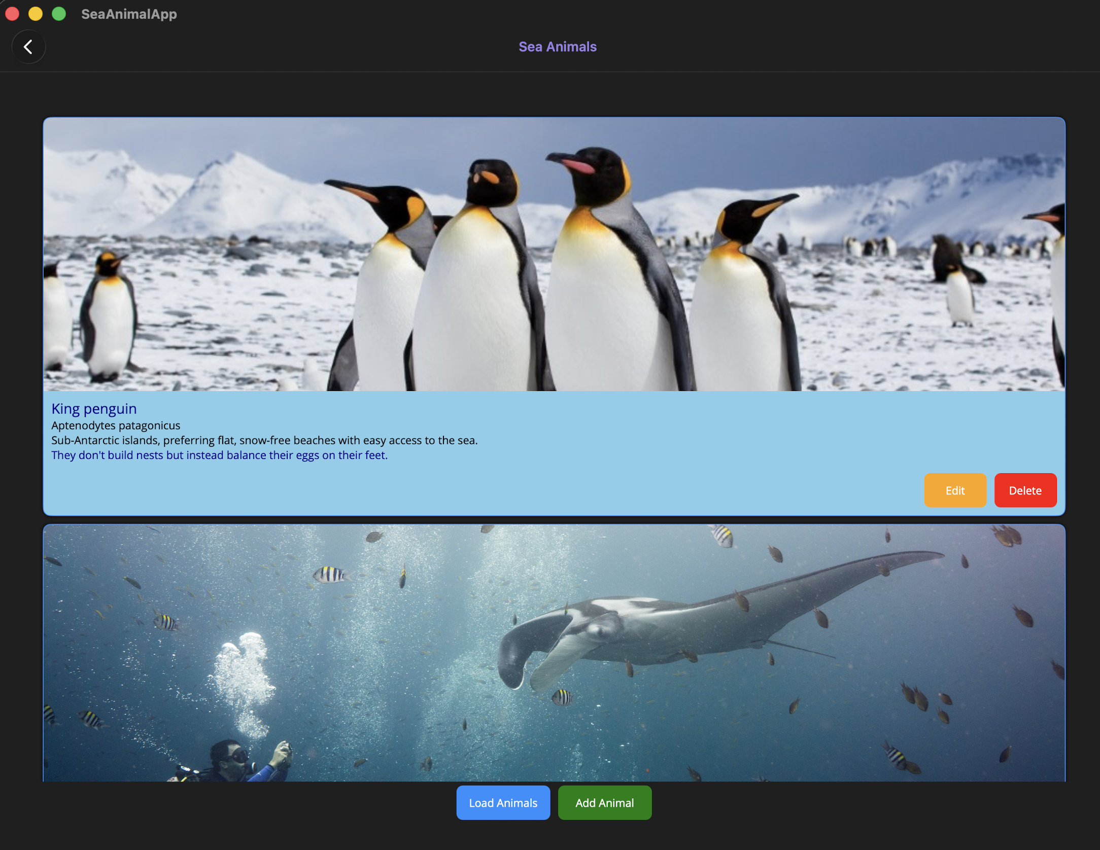 Project One screenshot